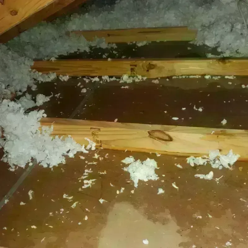 Attic Water Damage in Arcata, CA